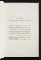 The birds of New Guinea, 1:26