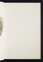 The birds of New Guinea, 1:18