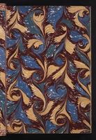 The birds of New Guinea, 1:2