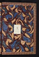 The birds of New Guinea, 1:362