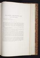 The birds of New Guinea, 1:332