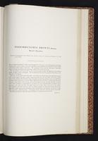 The birds of New Guinea, 1:278