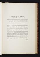 The birds of New Guinea, 1:176