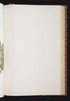 The birds of New Guinea, 1:174