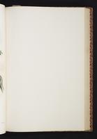 The birds of New Guinea, 1:168