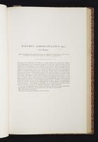 The birds of New Guinea, 1:158