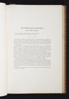 The birds of New Guinea, 1:128