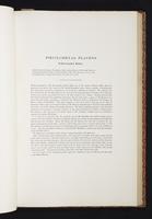 The birds of New Guinea, 1:122