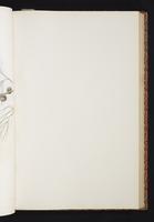 The birds of New Guinea, 1:114