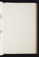 The birds of New Guinea, 1:102