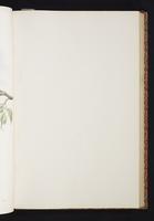 The birds of New Guinea, 1:96