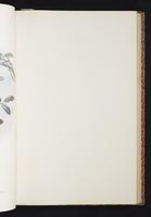 The birds of New Guinea, 1:84