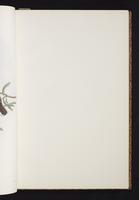 The birds of New Guinea, 1:66