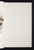 The birds of New Guinea, 1:54