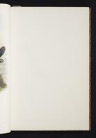 The birds of New Guinea, 1:48