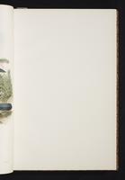 The birds of New Guinea, 1:36