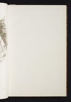 The birds of New Guinea, 1:30