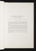 The birds of New Guinea, 1:26