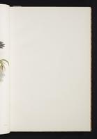 The birds of New Guinea, 1:24