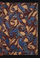 The birds of New Guinea, 1:2