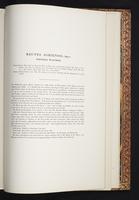 The birds of New Guinea, 1:340