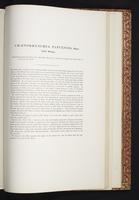 The birds of New Guinea, 1:310