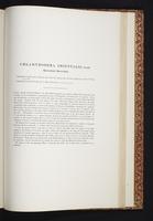 The birds of New Guinea, 1:274