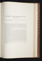 The birds of New Guinea, 1:262