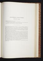 The birds of New Guinea, 1:256