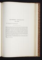 The birds of New Guinea, 1:250