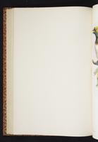 The birds of New Guinea, 1:183