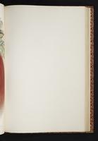 The birds of New Guinea, 1:172