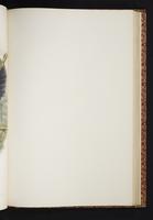 The birds of New Guinea, 1:166