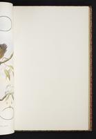 The birds of New Guinea, 1:148