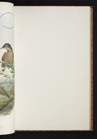 The birds of New Guinea, 1:142