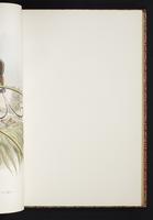 The birds of New Guinea, 1:136