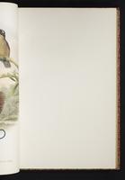 The birds of New Guinea, 1:130