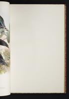 The birds of New Guinea, 1:118