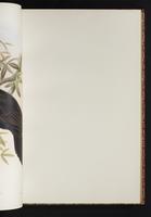 The birds of New Guinea, 1:106