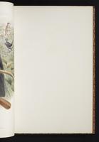 The birds of New Guinea, 1:90