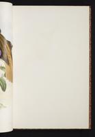 The birds of New Guinea, 1:72