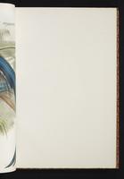 The birds of New Guinea, 1:66