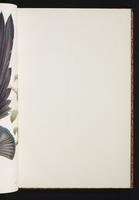 The birds of New Guinea, 1:60