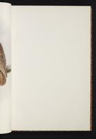 The birds of New Guinea, 1:48