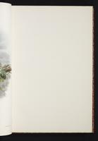 The birds of New Guinea, 1:42