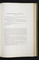 Introduction to the mammals of Australia, 1:208