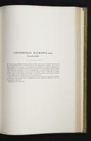 Introduction to the mammals of Australia, 1:196