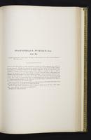 Introduction to the mammals of Australia, 1:192