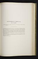 Introduction to the mammals of Australia, 1:188