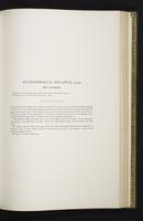 Introduction to the mammals of Australia, 1:180